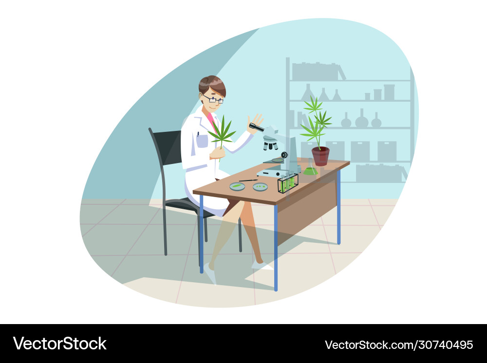 Marihuana Cannabis medizinische Forschung Analyse Marihuana Cannabis medizinische Forschung Analyse vektorbild