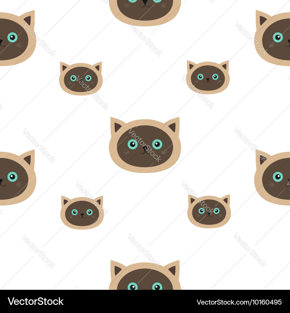 Siamese cat seamless pattern flat design style vector image