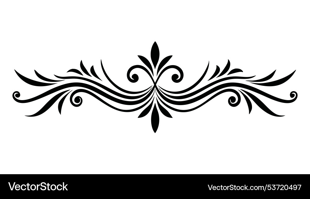 Abstract design featuring intricate swirls Vector Image