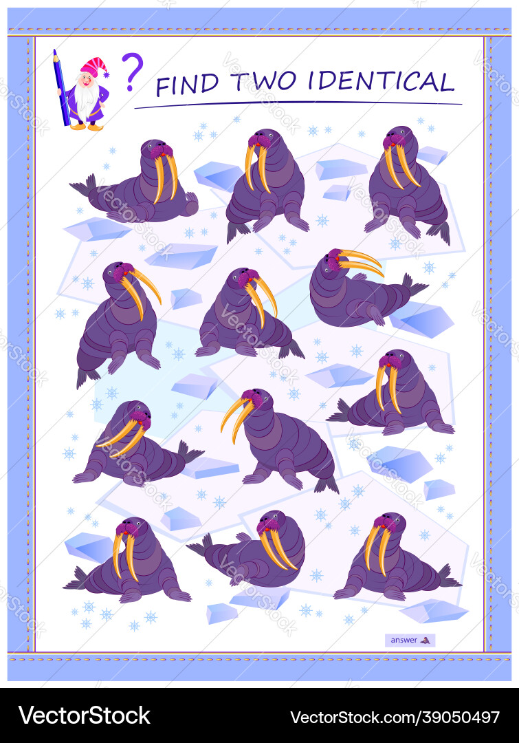 Find Two Walruses - Logic Puzzle Game Vector Image