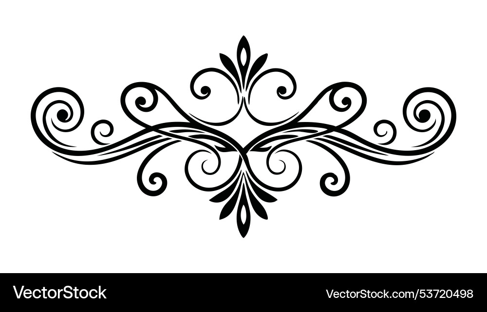 Abstract design featuring intricate swirls Abstract design featuring intricate swirls Vector Image