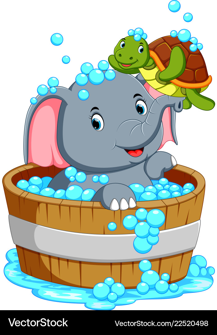An elephant is bathing and playing with a turtle Vector Image