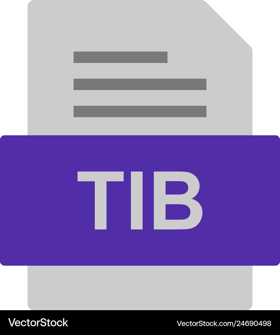 Tib file document icon vector image