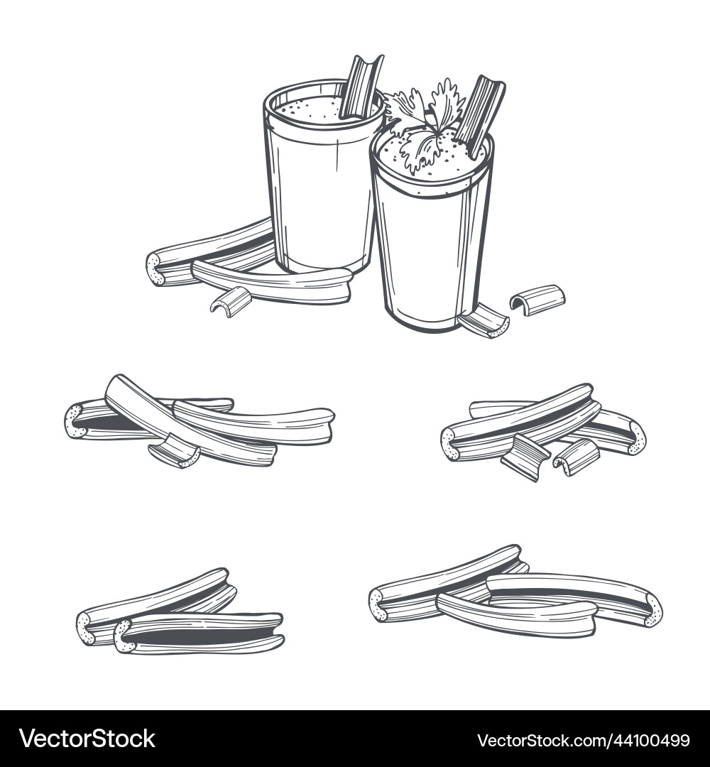 Celery set sketch Celery set sketch vector image