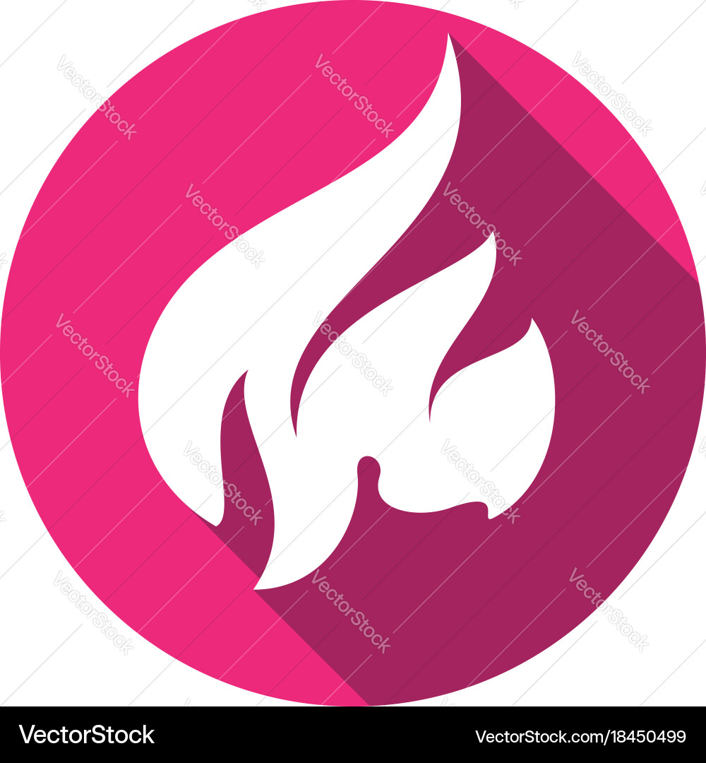 Fire bonfire flame circle shape vector image