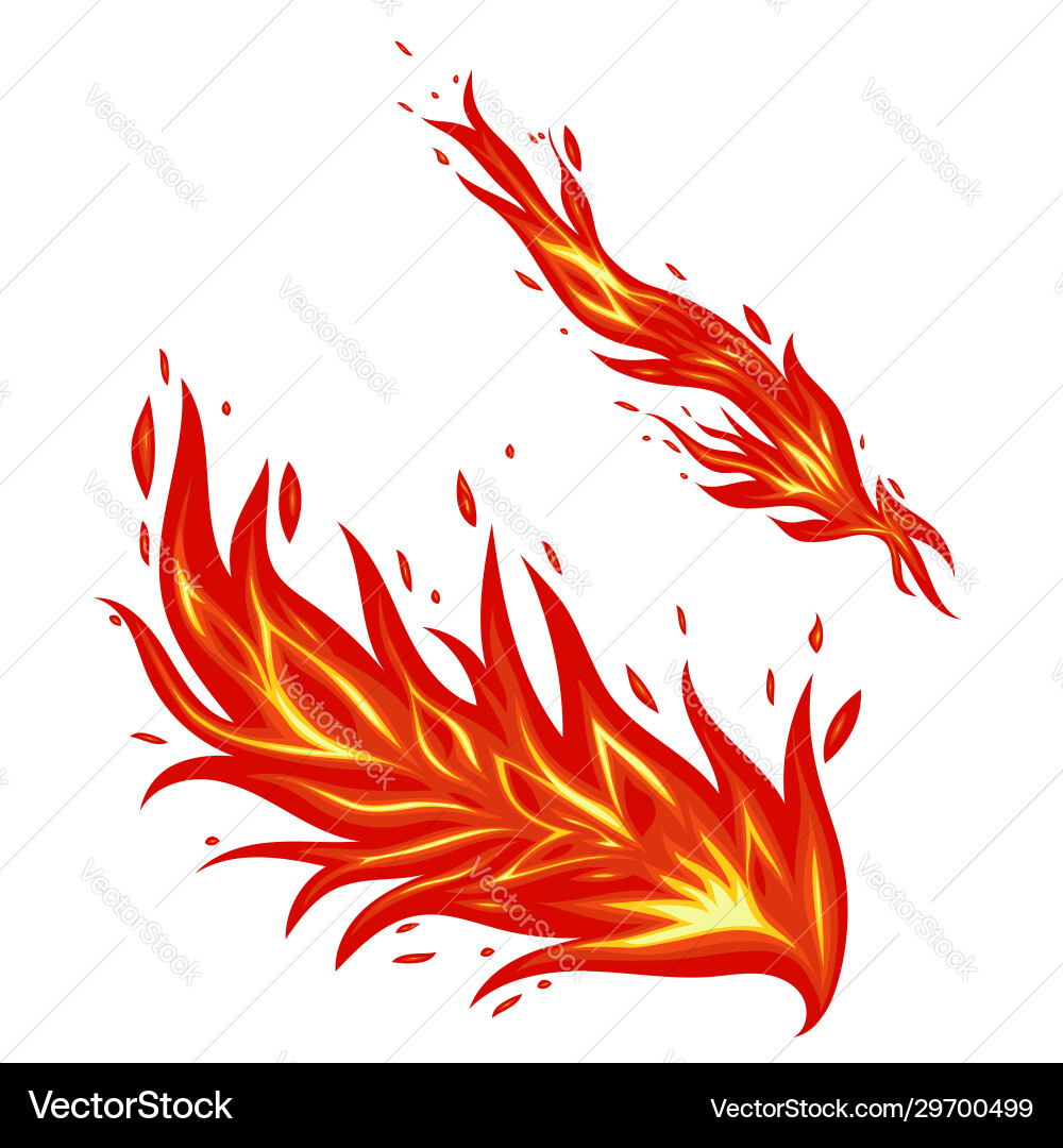 Flame isolate on a white background graphics Flame isolate on a white background graphics vector image
