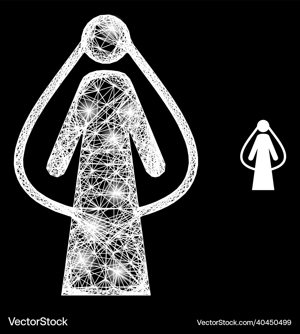 Magic net mesh bride with light spots Magic net mesh bride with light spots vector image