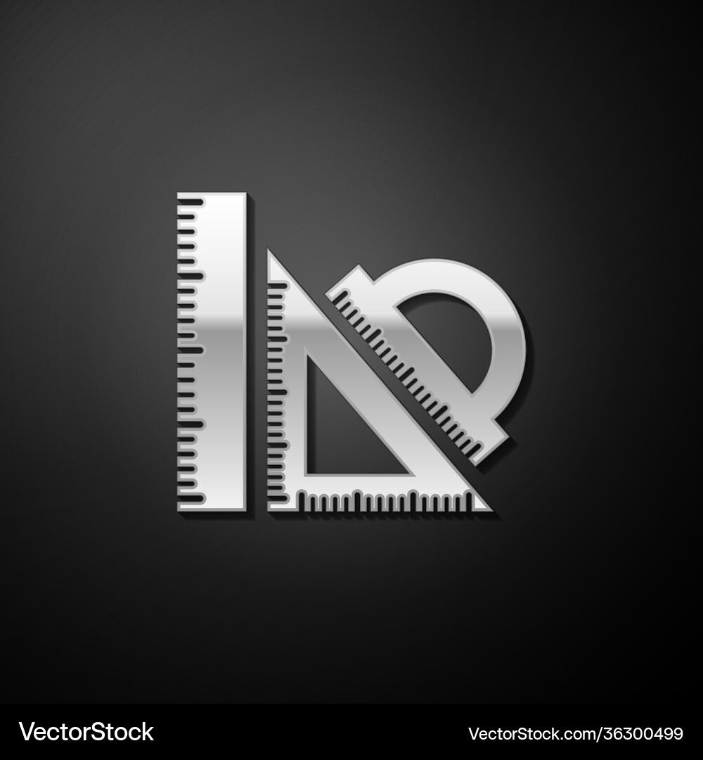 Silver set ruler triangular and protractor Silver set ruler triangular and protractor vector image