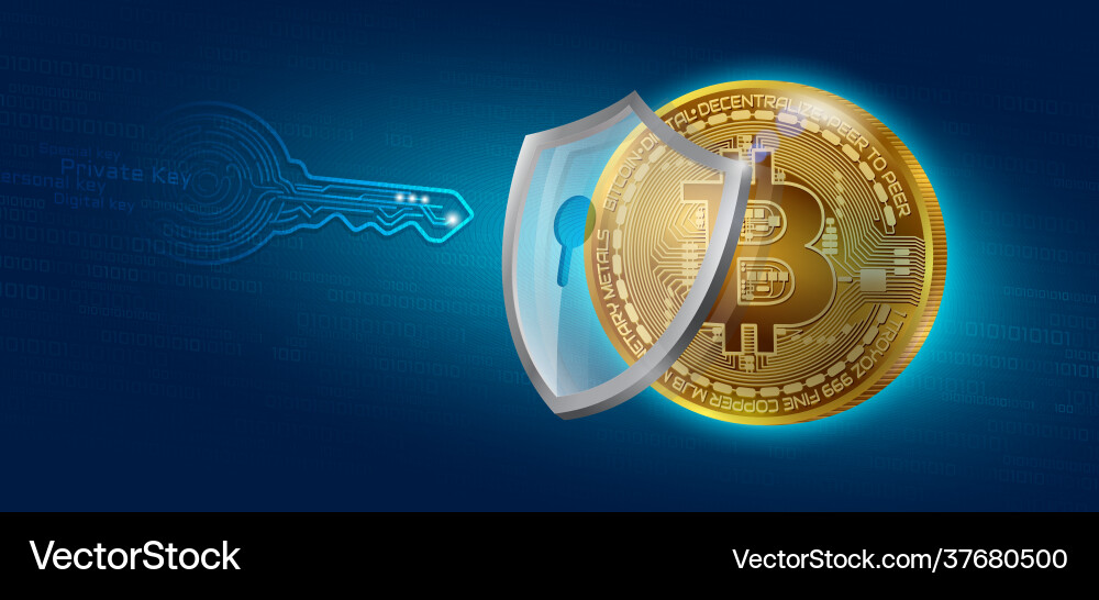 Bitcoin private key lock Bitcoin private key lock Vector Image
