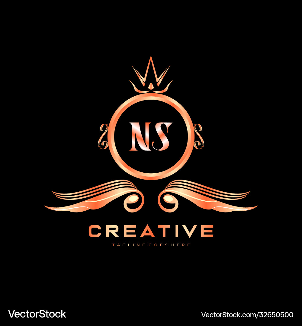 Ns initial logo with colorful circle template Vector Image