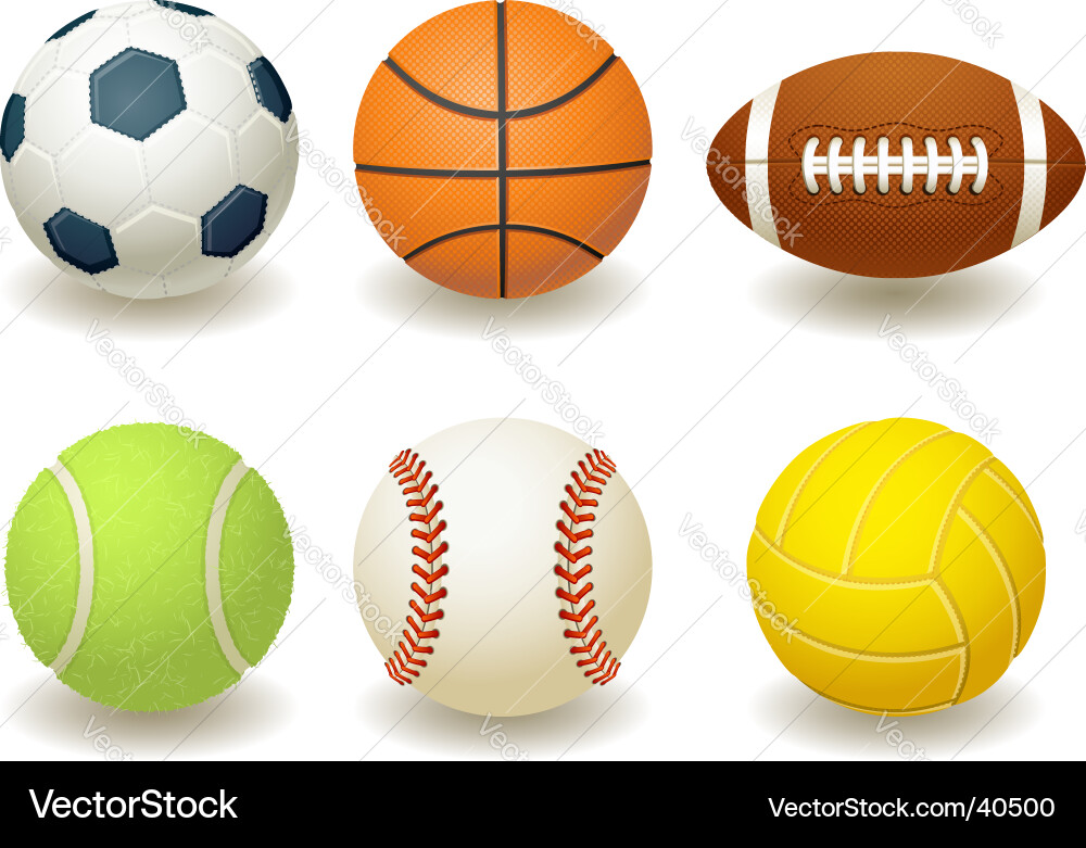 Sports Balls Collection vector image