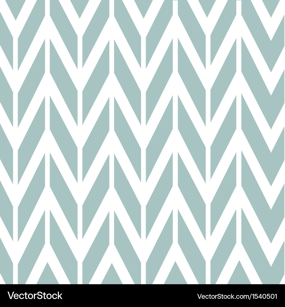 Geometric Zigzag Pattern vector image