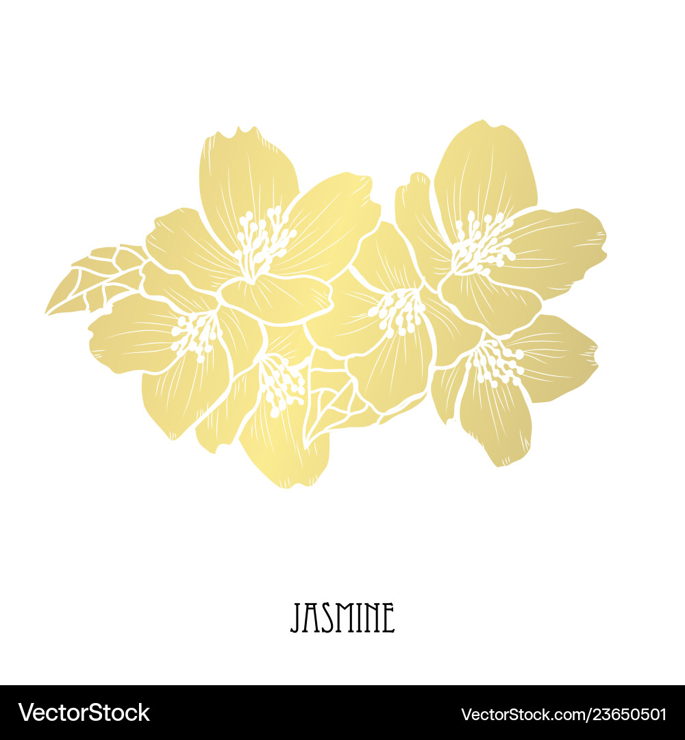 Golden floral decoration Golden floral decoration vector image
