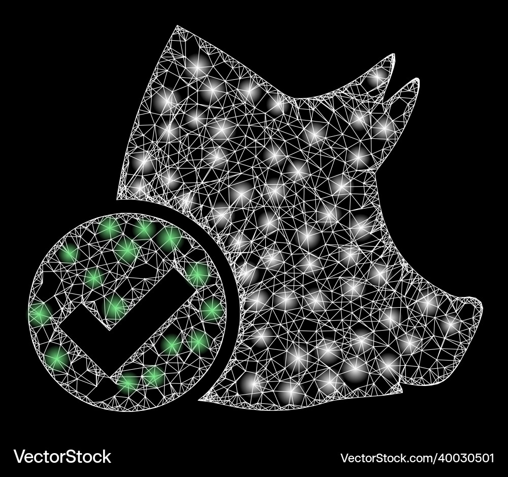 Shiny net mesh valid pork with glare spots Vector Image