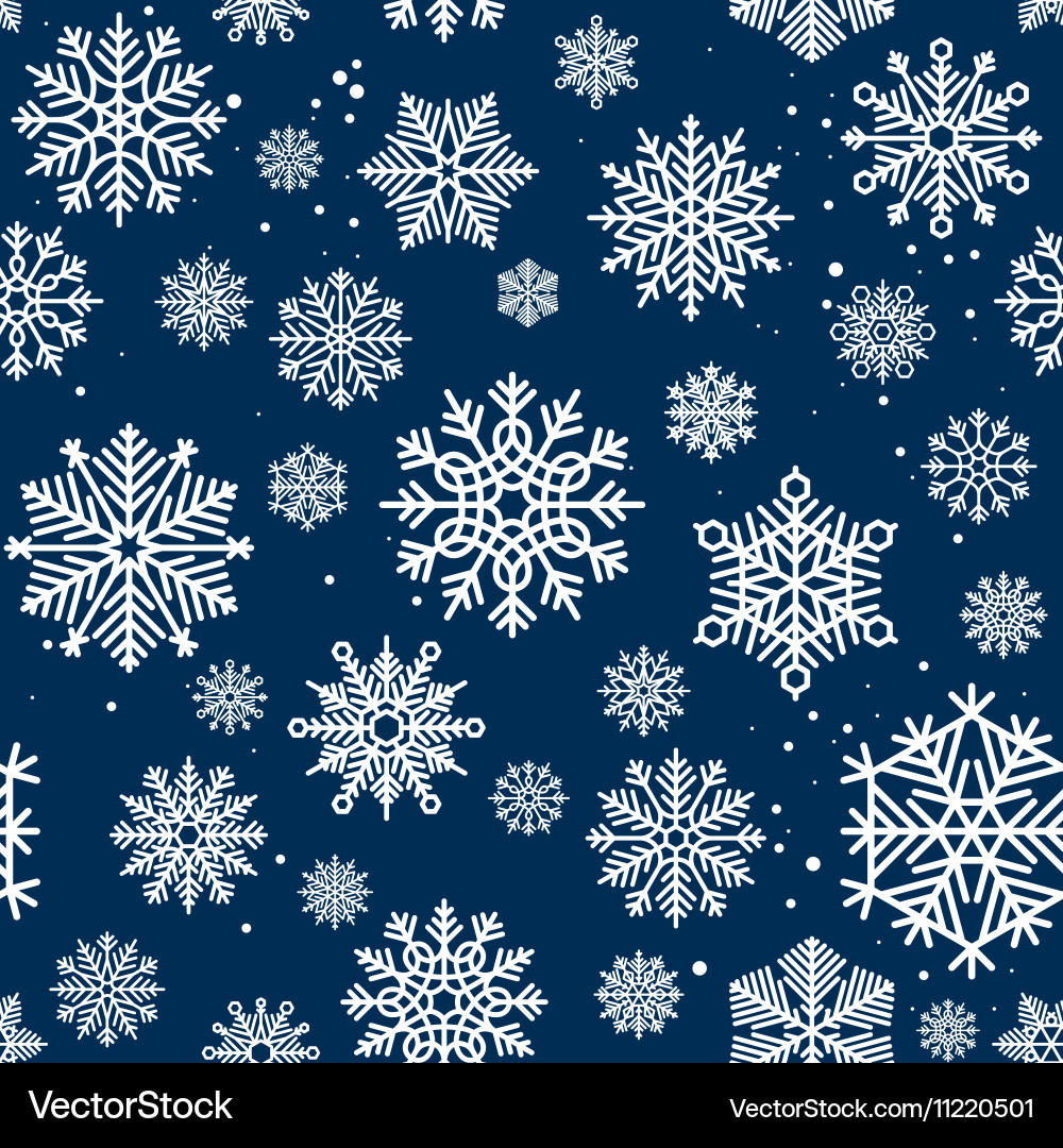 Winter Snowflake Pattern vector image