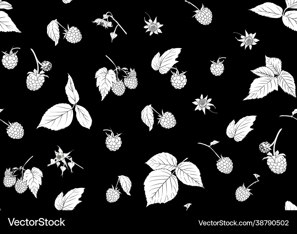 Raspberry ripe berries on branch seamless Raspberry ripe berries on branch seamless vector image