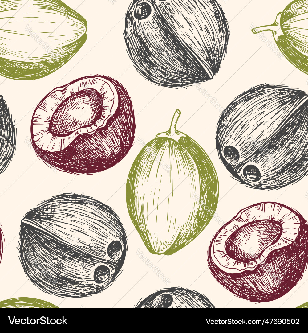 Seamless pattern with coconuts Vector Image