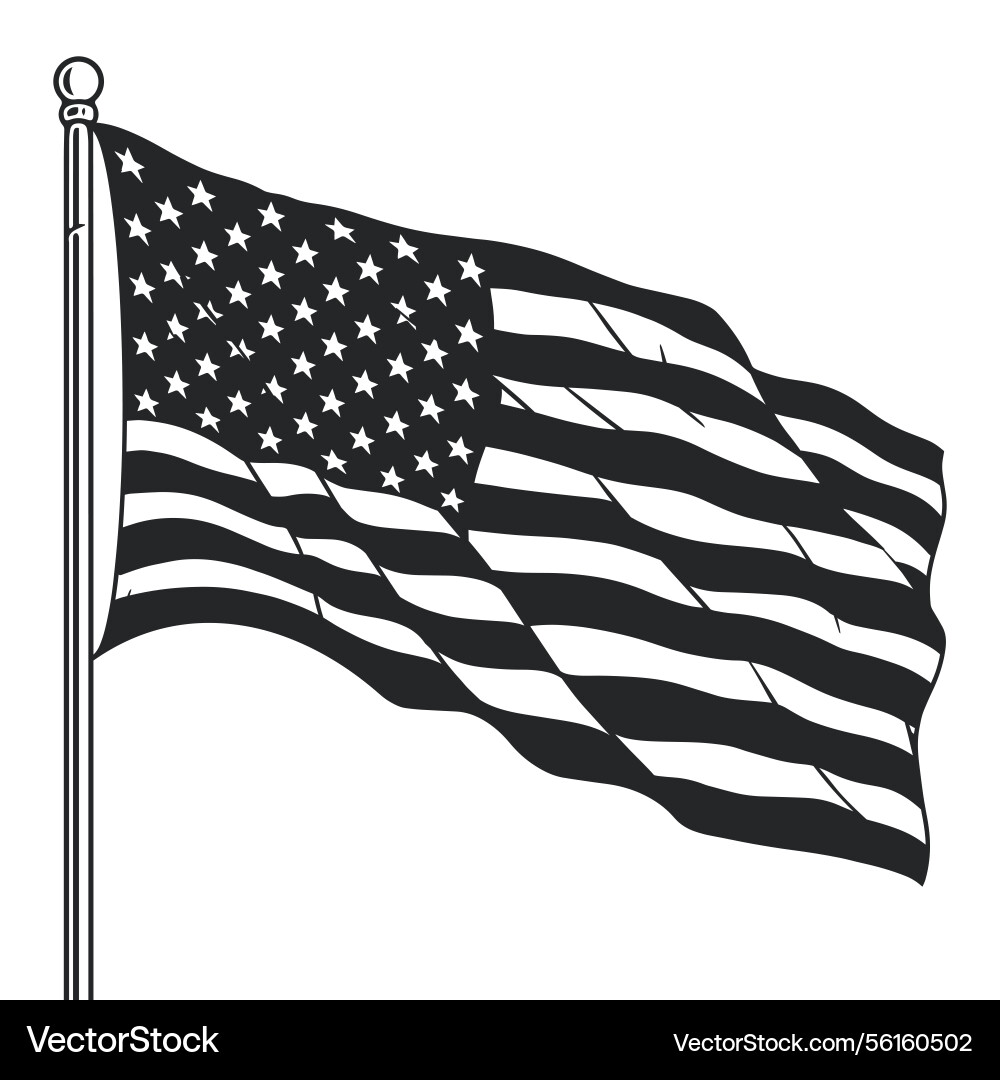 Waving flag of united states in monochrome design Waving flag of united states in monochrome design vector image