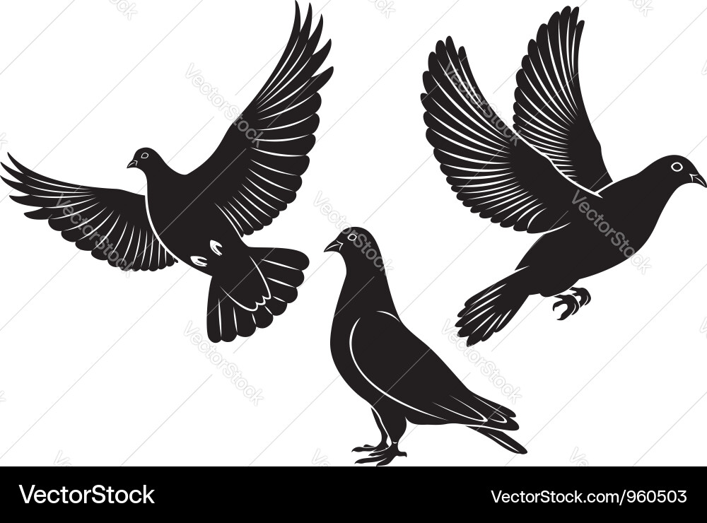 Elegant Dove Silhouette Vector Image