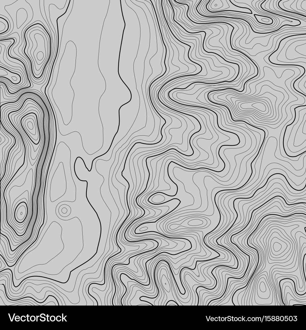 Topographic map background with space for copy vector image