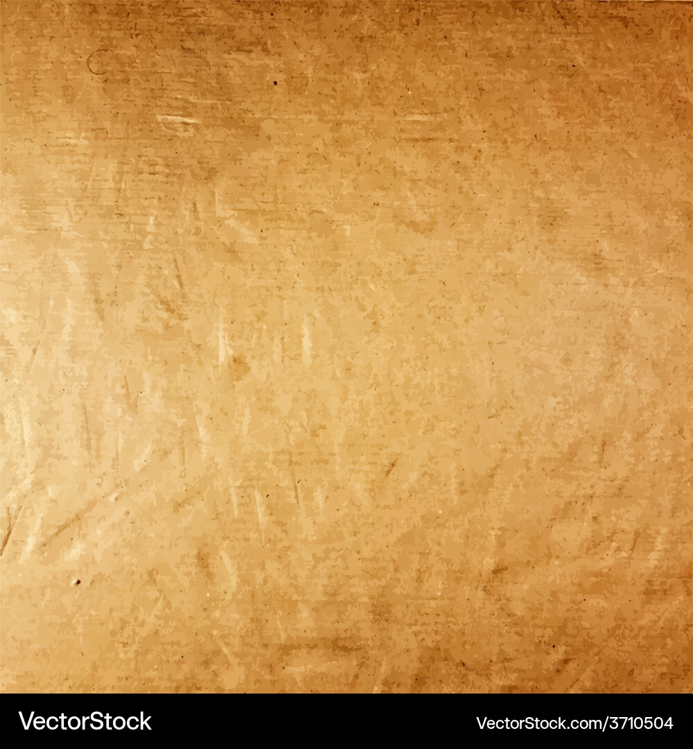 Rustic Cardboard Texture Vector Image