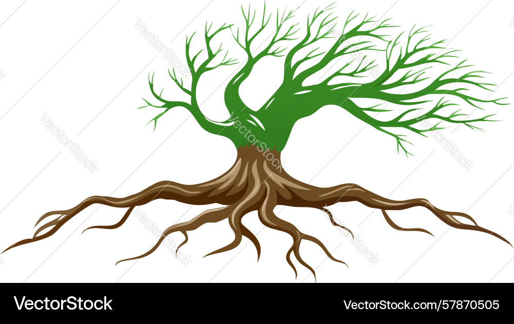 Minimalist tree with grounded root system design Vector Image