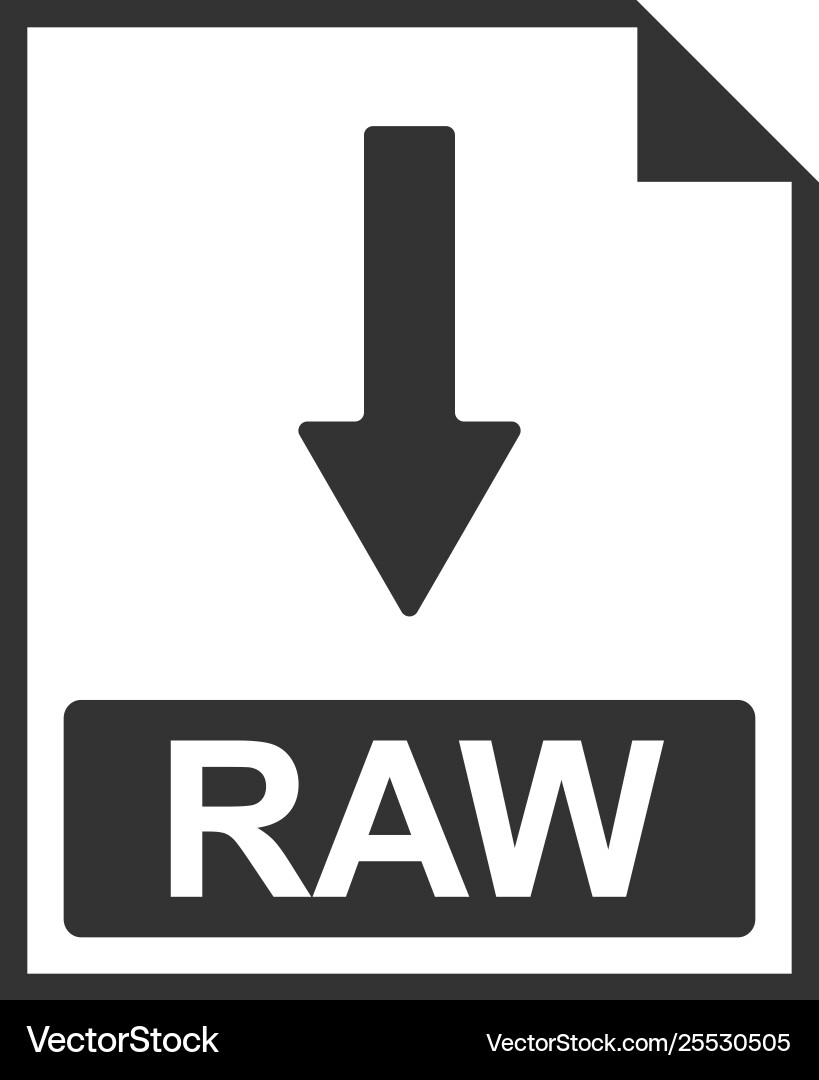Raw file document icon download button Raw file document icon download button vector image