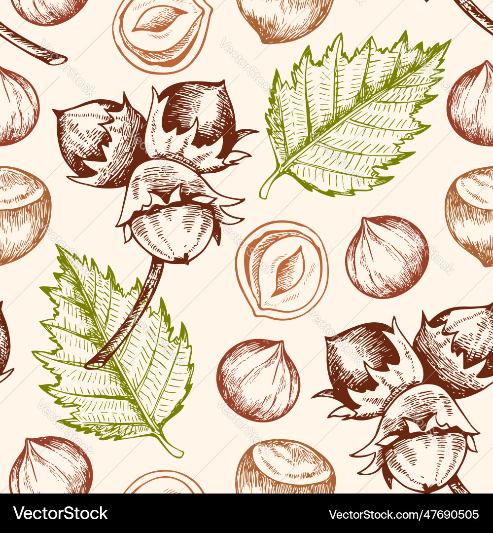 Seamless pattern with hazelnuts Vector Image