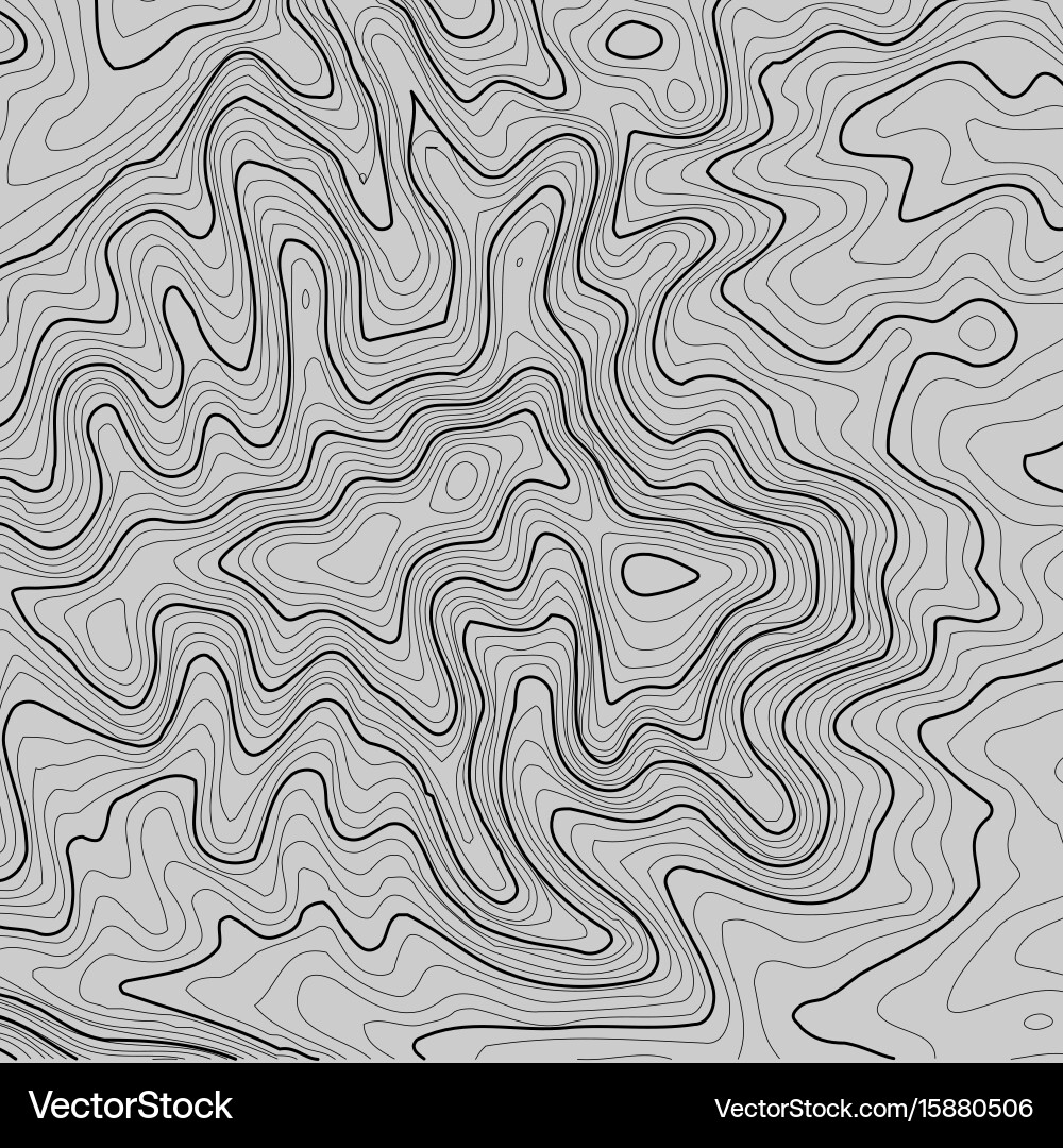 Topographic map background with space for copy vector image