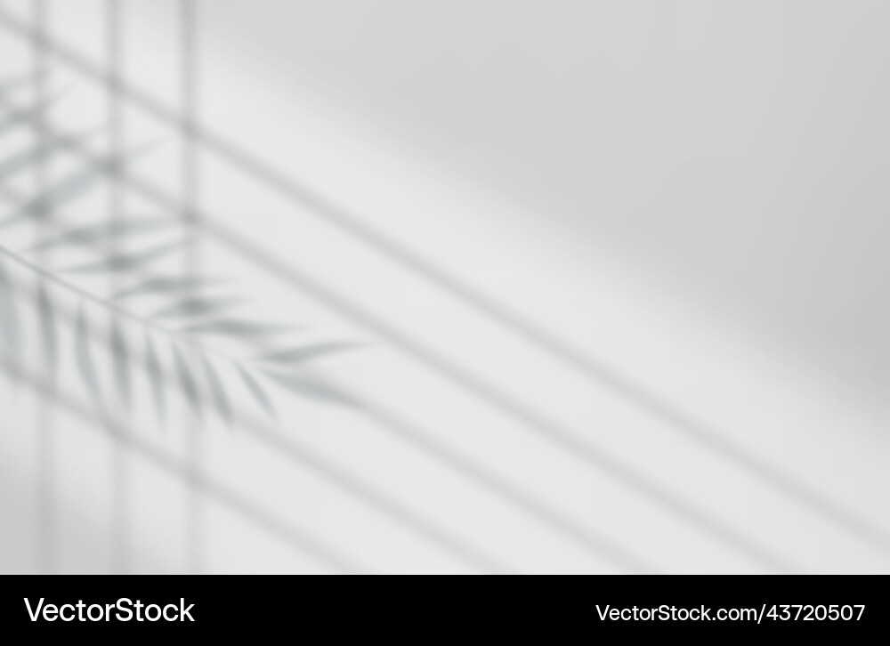 Empty studio abstract background Empty studio abstract background vector image