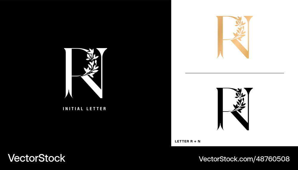Rn initial letters monogram logotype templates Rn initial letters monogram logotype templates Vector Image