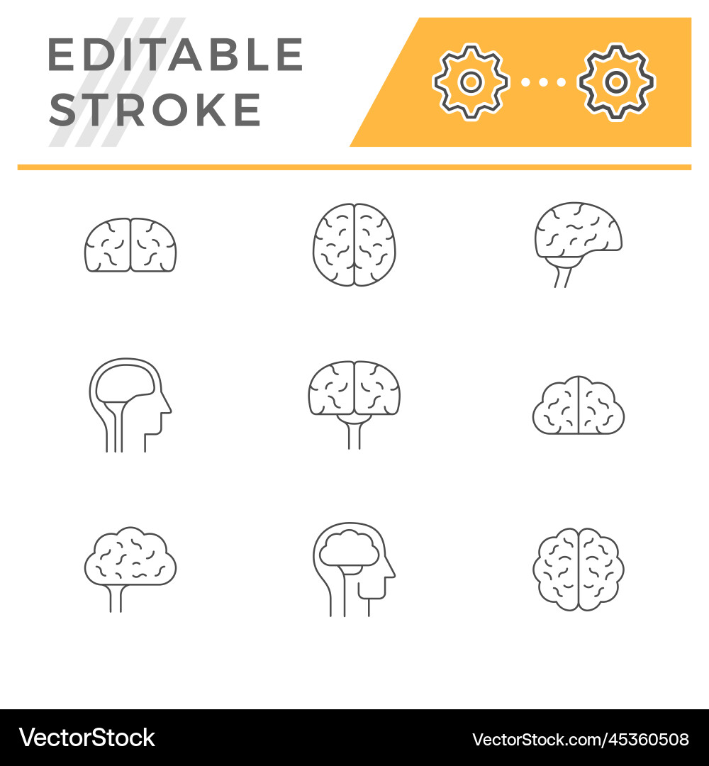 Set line icons of brain Set line icons of brain vector image