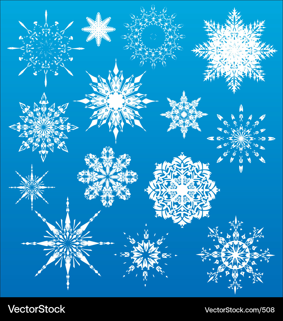 Winter Snowflake Collection Vector Image