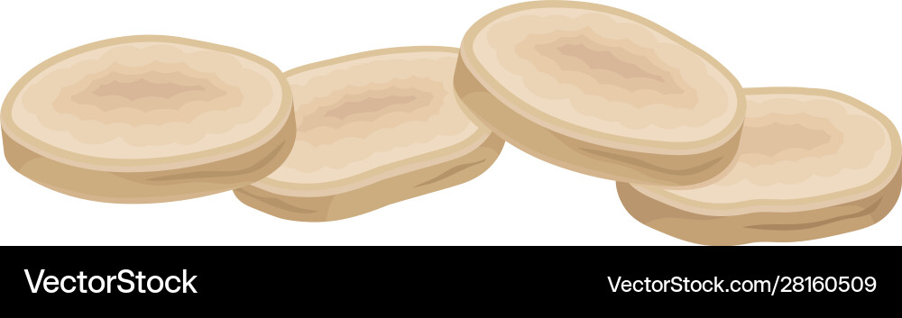Parsnip root cut into slices item Parsnip root cut into slices item vector image