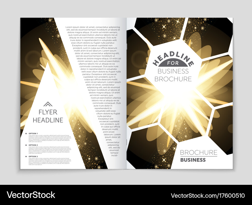 Abstract layout background set for art Vector Image