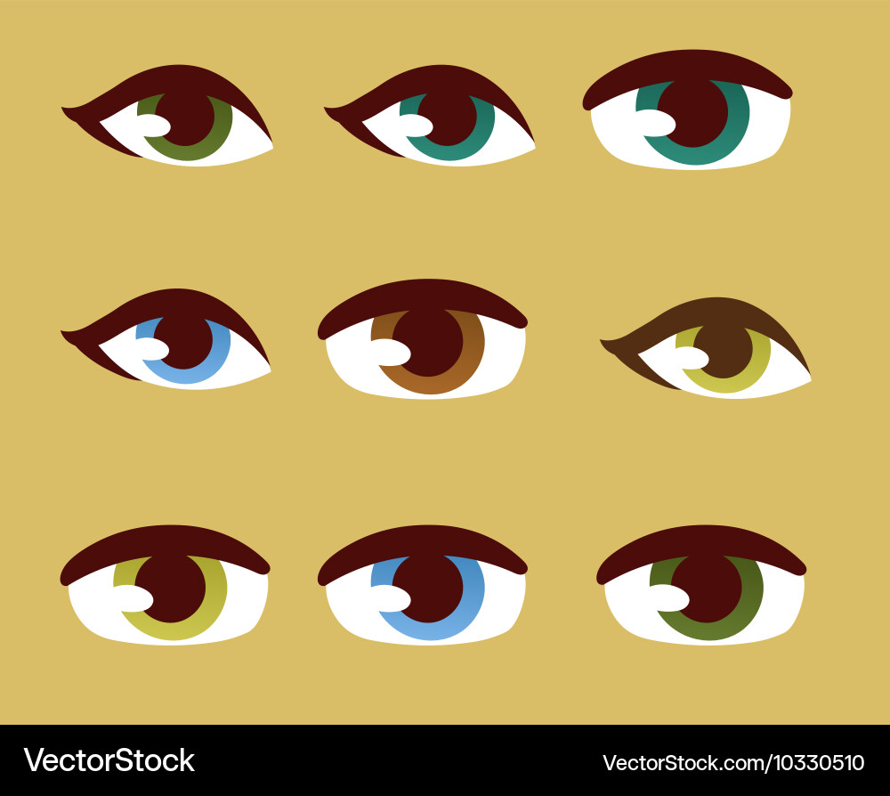 Menschliches Auge vektorbild