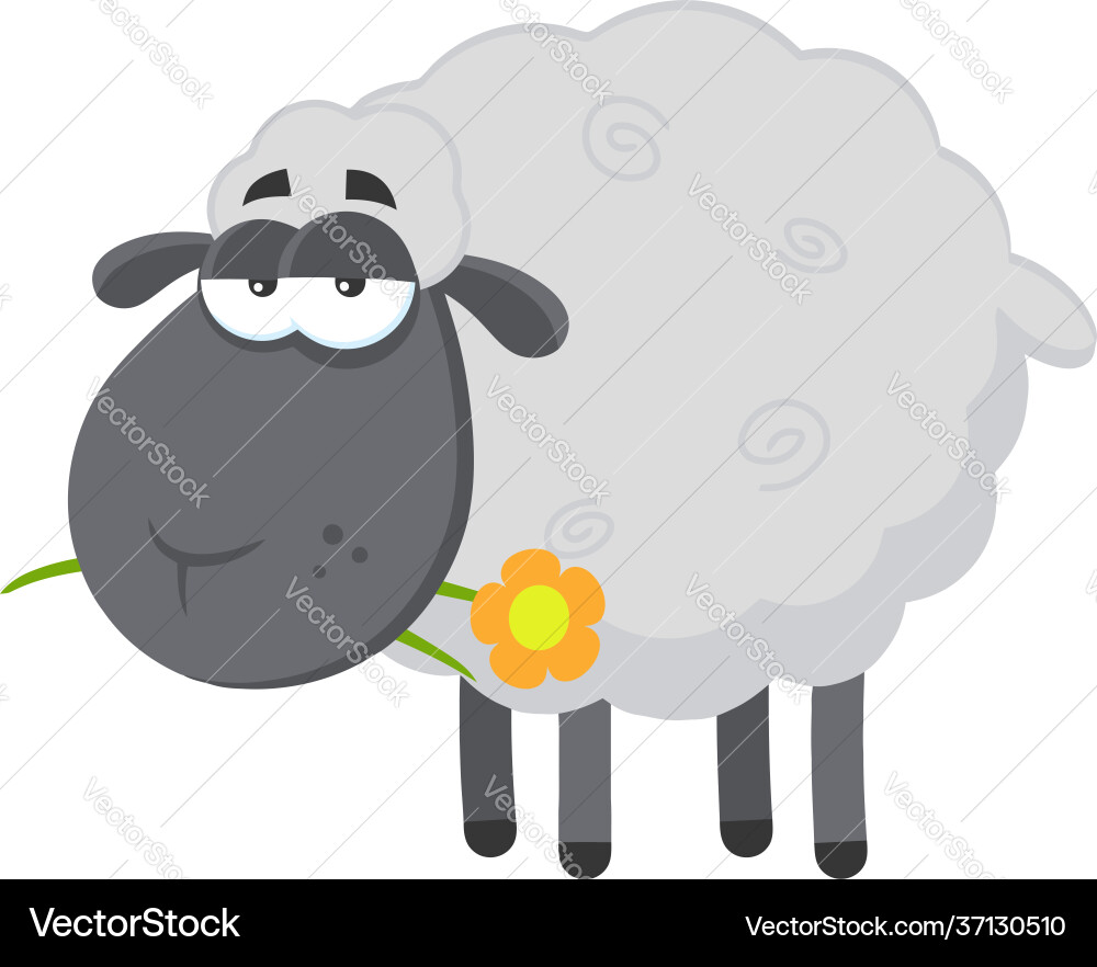 Schwarzes Schaf Cartoon Charakter mit einer Blume Schwarzes Schaf Cartoon Charakter mit einer Blume vektorbild