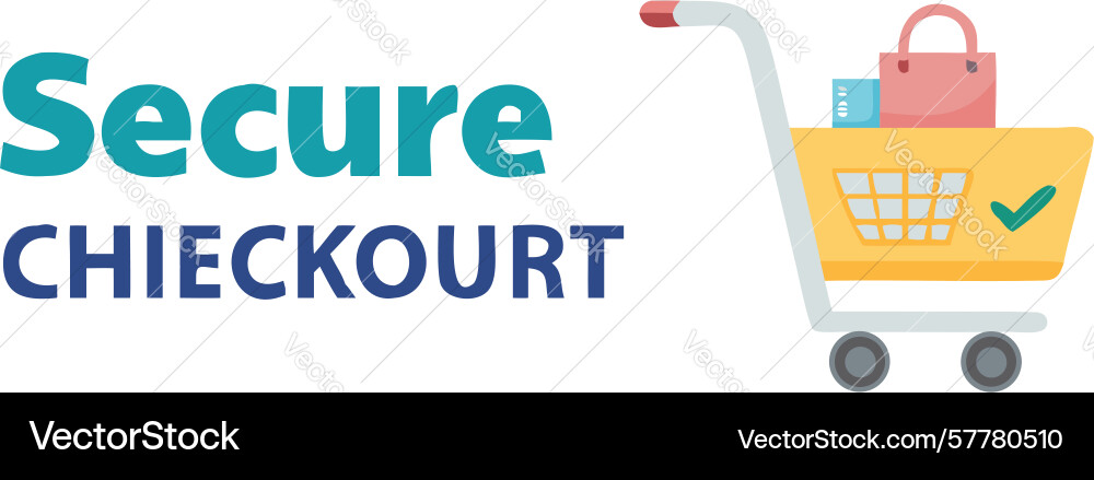 Secure checkout icon with padlock and shopping vector image