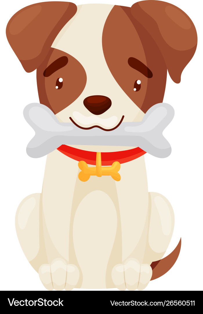 Cute puppy holds a bone in his teeth Cute puppy holds a bone in his teeth vector image