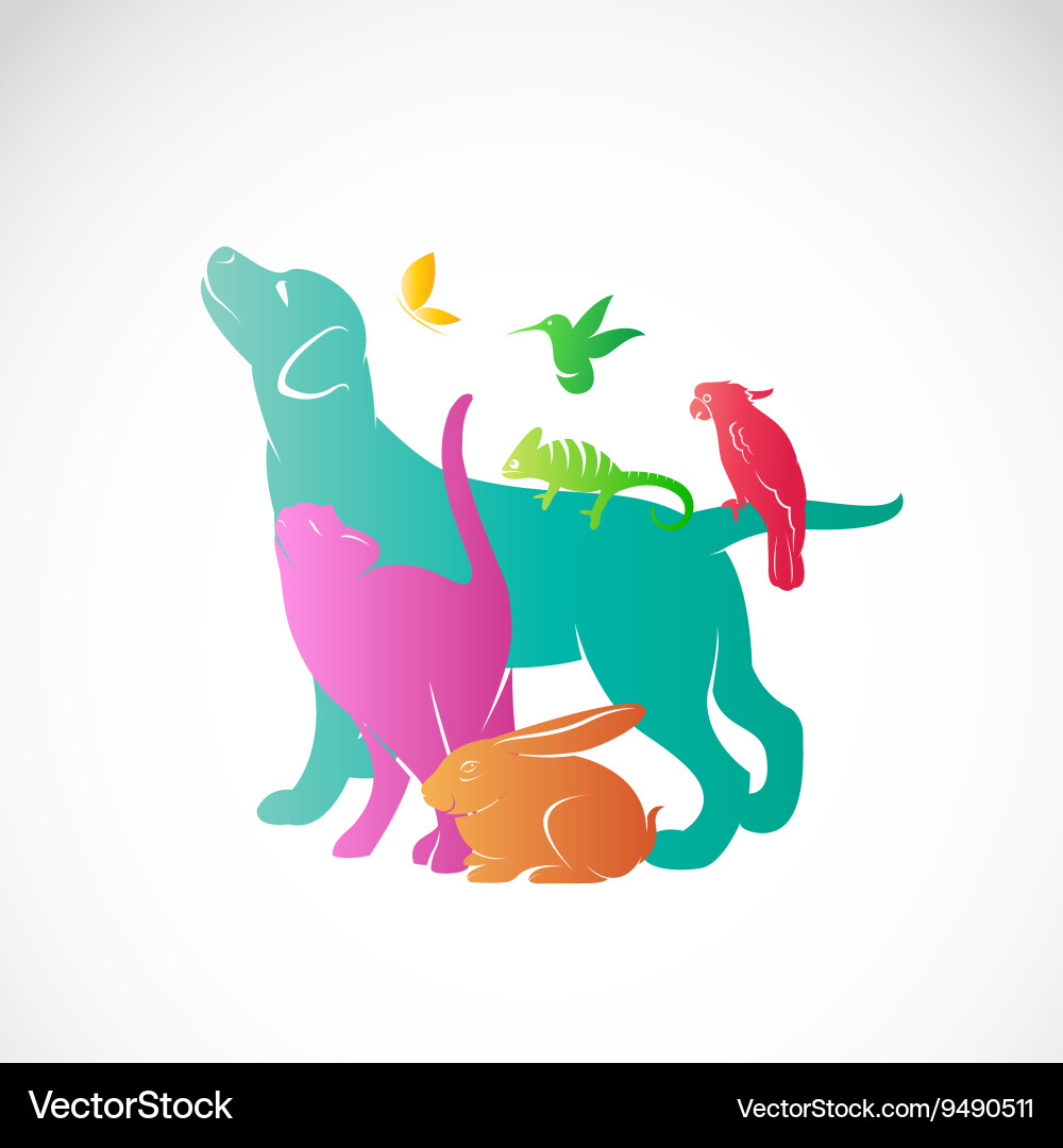 Diverse Pet Collection Vector Image