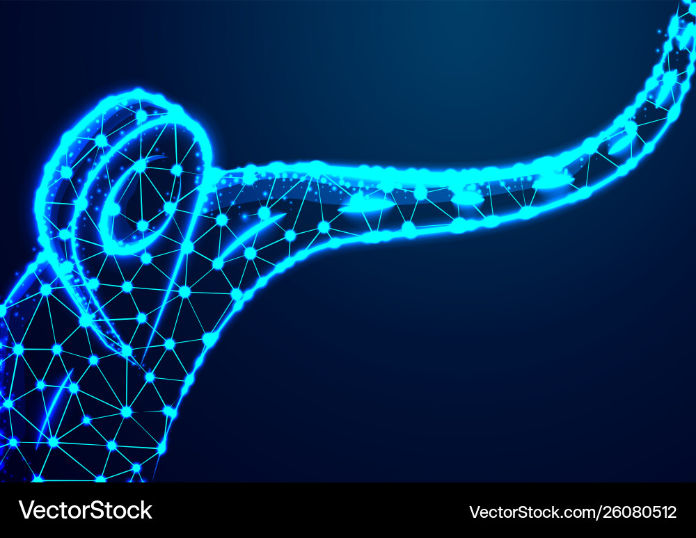 Gps navigator pin checking point abstract low vector image