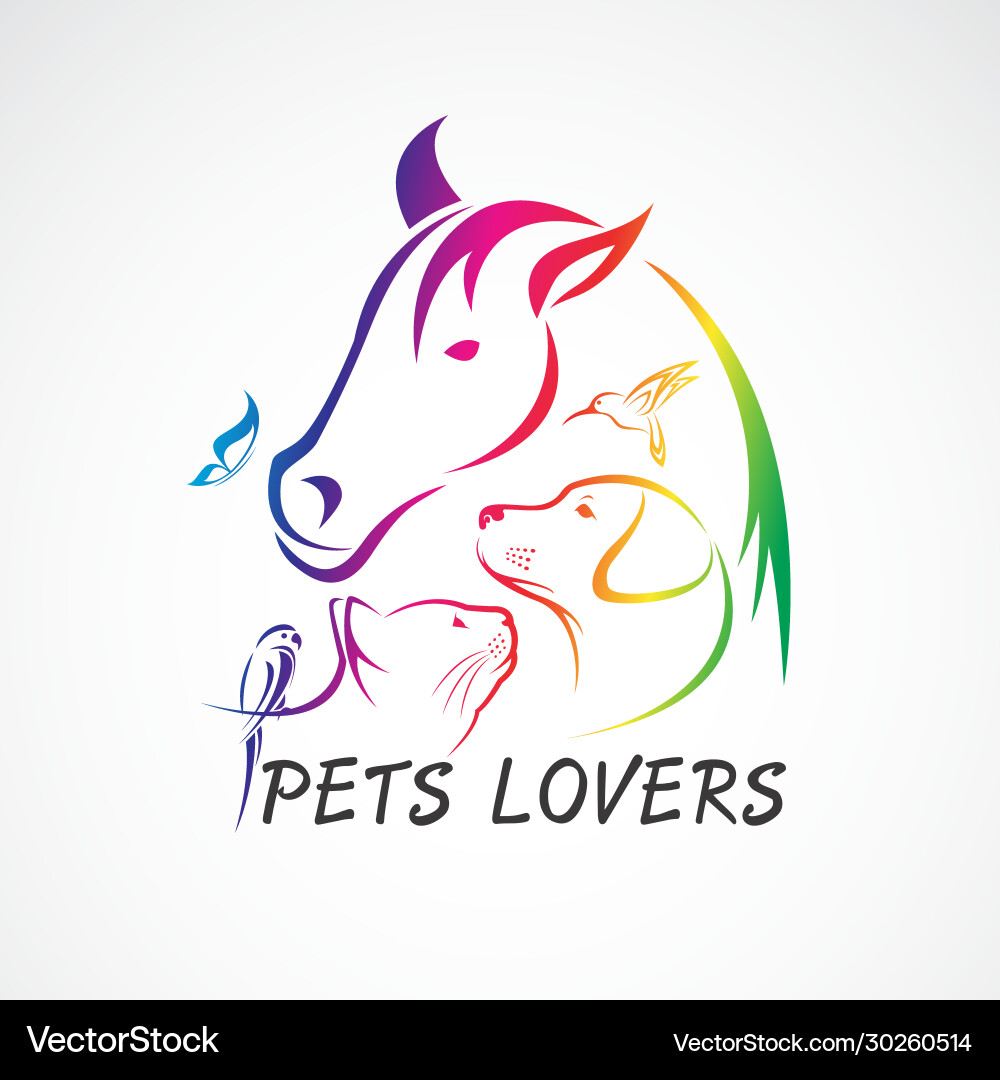Group pets - horse dog cat bird butterfly Group pets - horse dog cat bird butterfly vector image