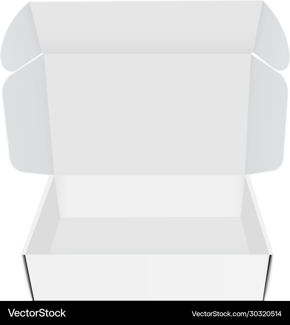 Opened empty paper box mockup isolated vector image