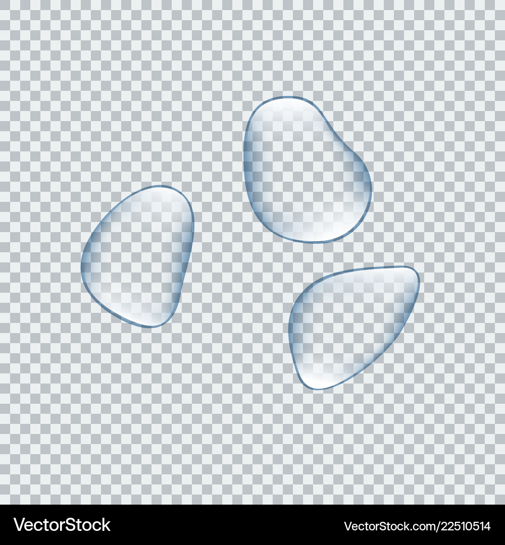 Transparent Water Drops - Sphere & Droplets Vector Image