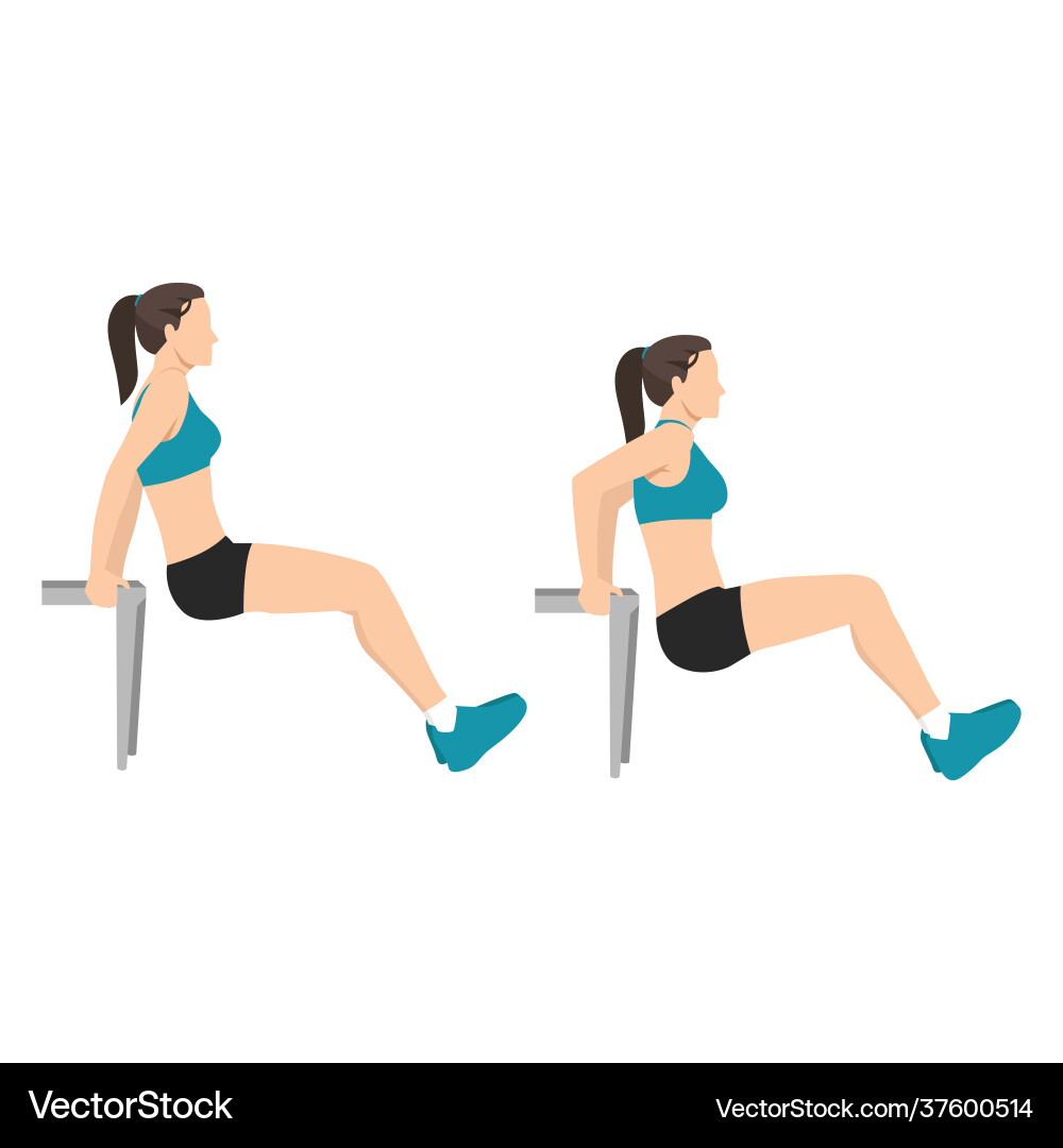Woman doing bench tricep dips exercise Royalty Free Vector