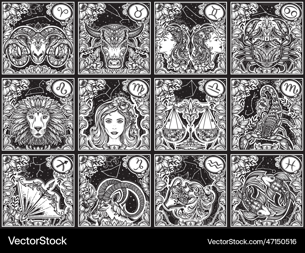 Beautiful black and white square cards with zodiac Beautiful black and white square cards with zodiac vector image
