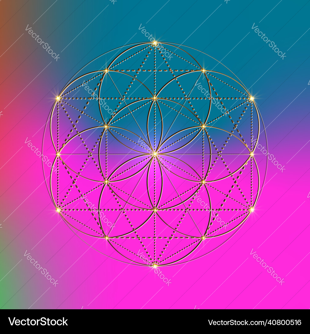 Flower of life seed symbol sacred geometry Vector Image