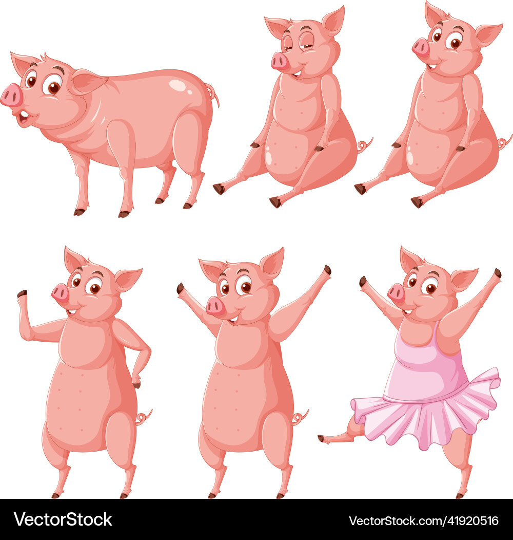 Set of pigs in different poses Set of pigs in different poses vector image