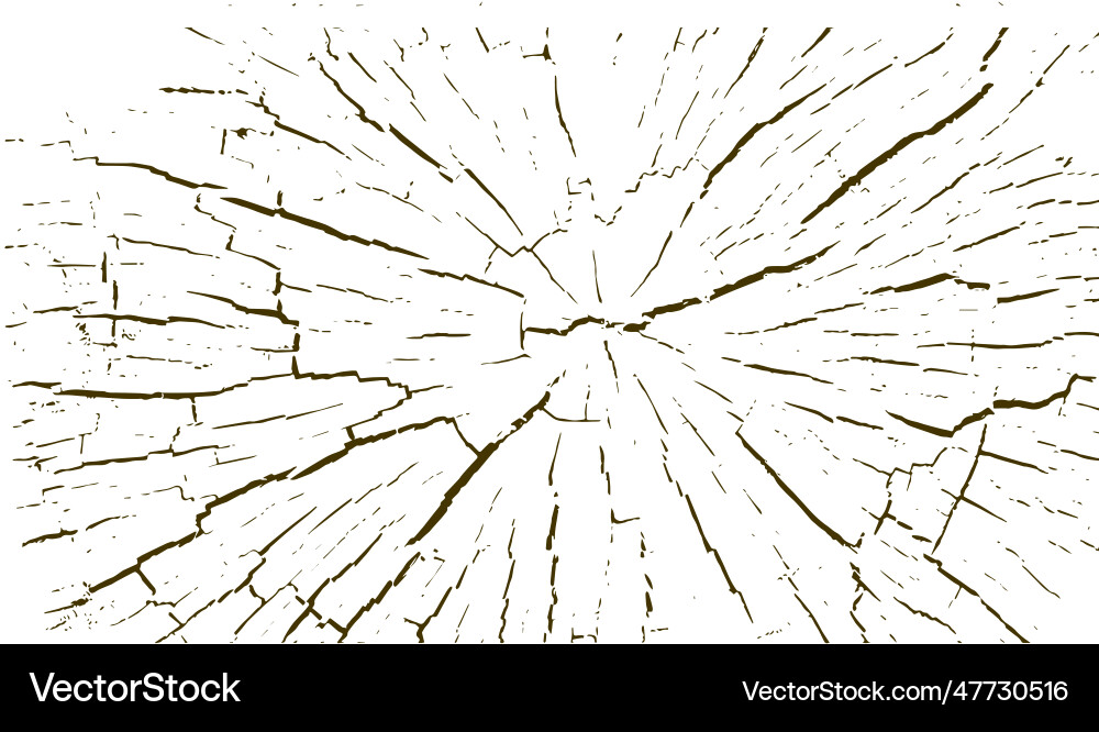 Tree trunks with circular rings isolated Tree trunks with circular rings isolated Vector Image