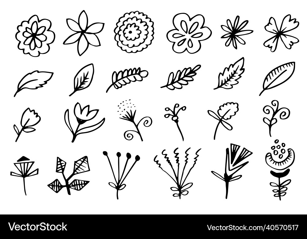 A collection of hand-drawn flower images A collection of hand-drawn flower images vector image